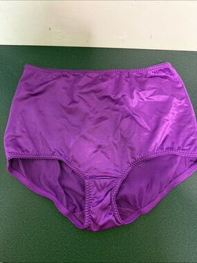 vassarette Purple High-Waist Satin Brief Panty